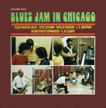 Blues Jam in Chaicago Vol 2