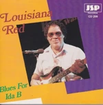 Blues for Ida B.