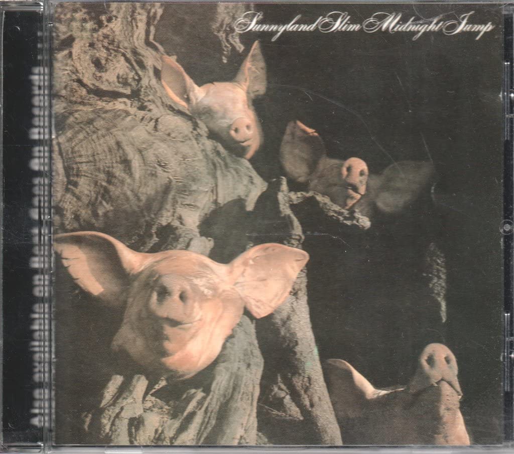 Midnight Jump by Sunnyland Slim