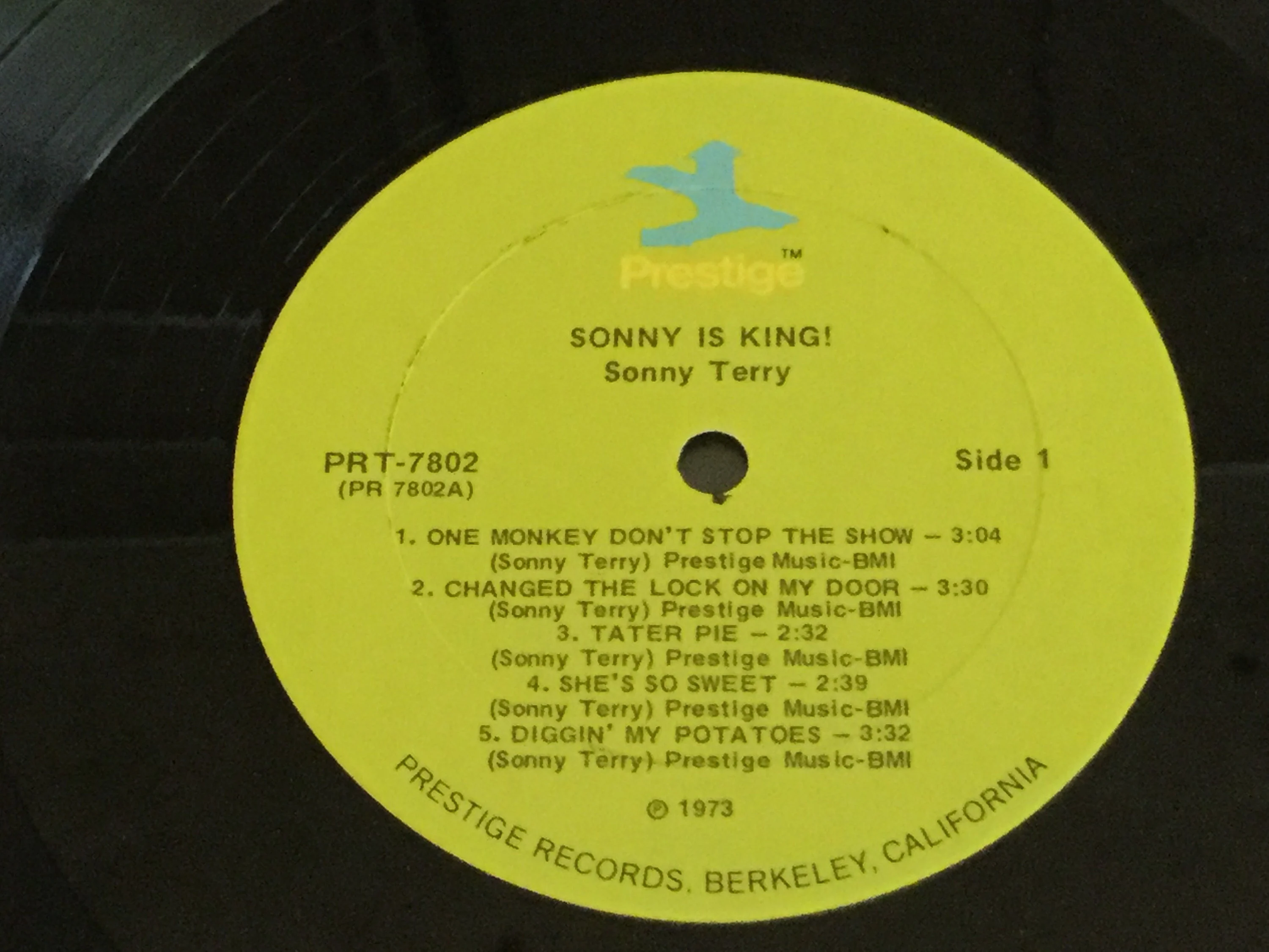 Changed the Lock on My Door by Sonny Terry